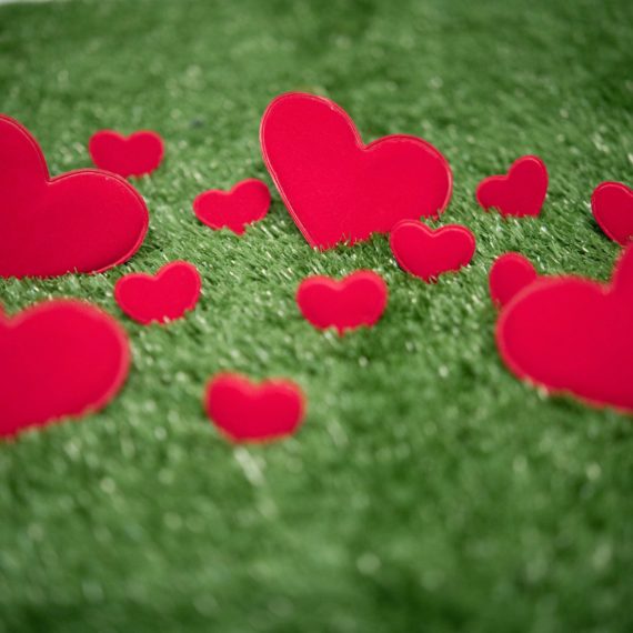 Symbolic picture in connection with the 	 Valentine's Day.  -ALLIANCE-INFOPHOTO